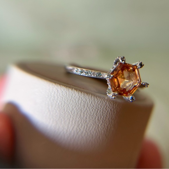 🐾 Let’s Make Magic 🐾 - Picture 5 of 8